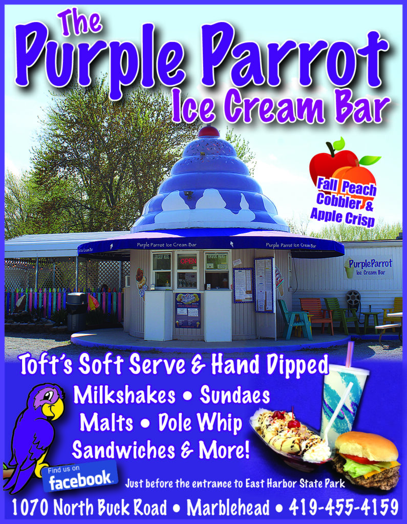PurpleParrotQPg2026